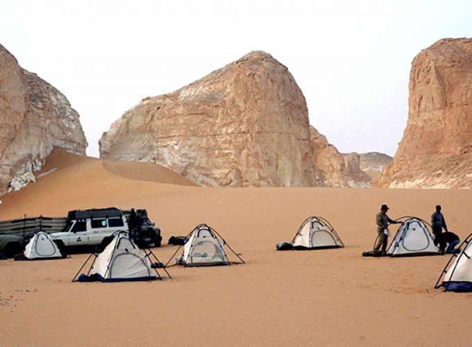 Best Tour Operator